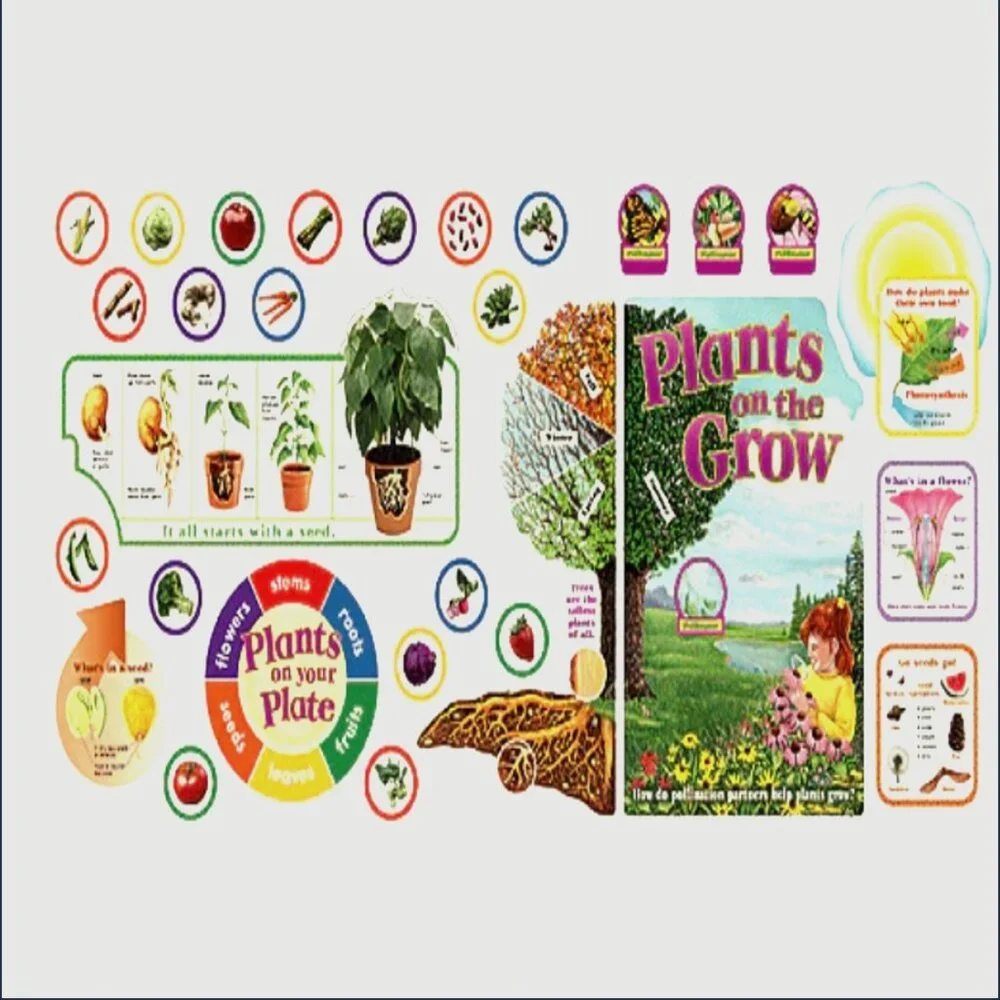 Plants on the Grow Extra Large BULLETIN BOARD SET LAMINATED  Classroom Posters